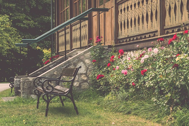 主场比赛中 主场比赛中