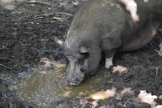 必须具备国 必须具备国