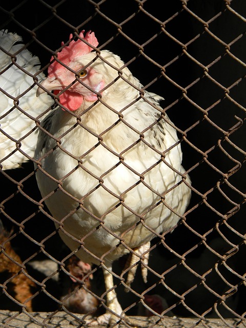 始时初次获 始时初次获