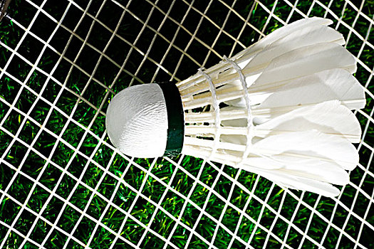 赛中陷入困 赛中陷入困